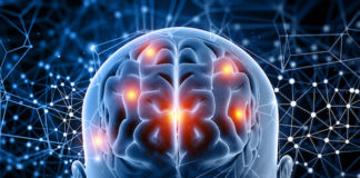 Zihin Nakli mi Bilinç Nakli mi?