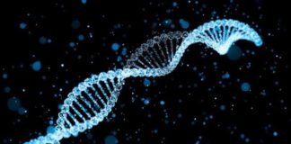 DNA Bazlı Nano-Robotlar Bize İlaç Olacak