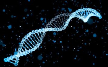 DNA Bazlı Nano-Robotlar Bize İlaç Olacak